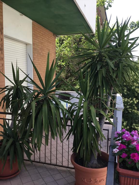 Hotel Mirella ريميني المظهر الخارجي الصورة
